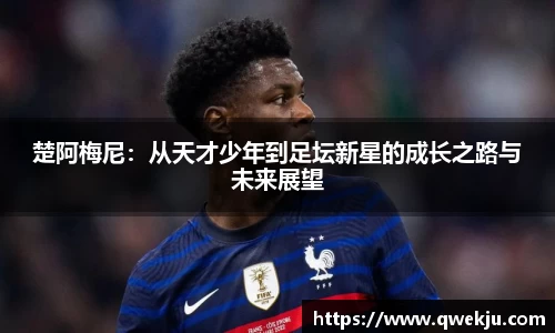333体育app登录入口